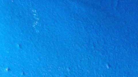 Pedro Caixinha, técnico de Cruz Azul y Ricardo Peláez, director deportivo de la Máquina