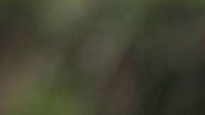 Rafa Márquez estrenó en Internet la película de su vida