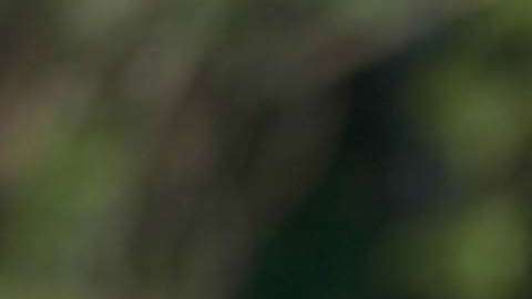 Rafa Márquez estrenó en Internet la película de su vida