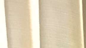 El expresidente de México, Vicente Fox, asegura que Trump es un "caballo salvaje" y un "tipo que está medio loco".