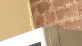 Joey y Francine Lugo, en Shipwreck Seafood Boutique en Clinton Hill./A. B. N.