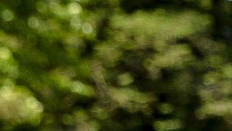 Los campistas latinos tienden a usar los servicios de acceso al internet para mantenerse conectados con sus empleos y cualquier persona que los necesita.