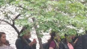 Cientos le cantaron en español a Aaron Schlossberg en Nueva York.