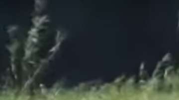 Un topetazo del búfalo y el león salta por el aire.