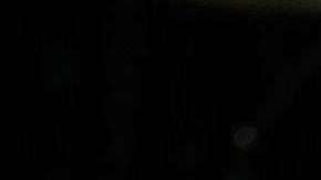 Luis Miguel en concierto.