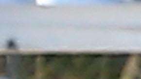 Maluma y Prince Royce pasan tiempo juntos en Miami, Florida.