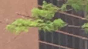 Marta Rodríguez, abrazada por uno de sus hijos, logró un respiro de dos meses.