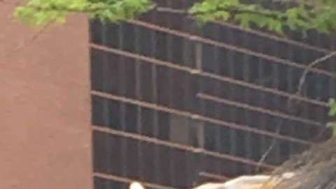 Marta Rodríguez, abrazada por uno de sus hijos, logró un respiro de dos meses.