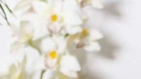 Los dolores somáticos son originados por problemas musculoesqueletales.