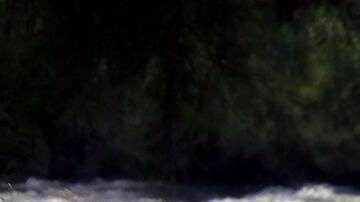 La pareja quería alcanzar "el sueño americano".