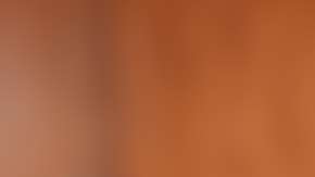 Falta evaluar la leche de cucaracha como súper alimento para humanos.