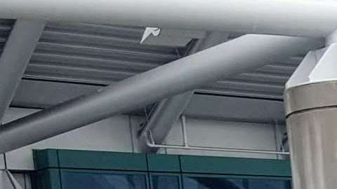 Nelson Castillo junto a Martha Reyna, una nueva ciudadana de EEUU.