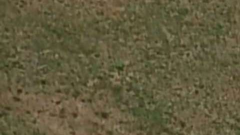 Alerta máxima en varios condados de NJ