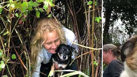 Grandes pérdidas materiales y personales se están produciendo por culpa de la erupción del volcán Kilauea.