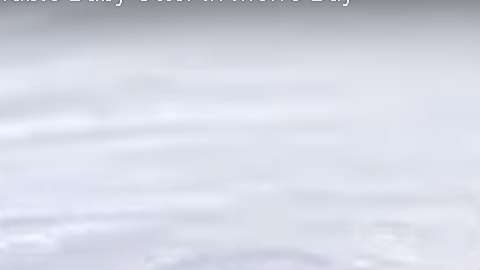 La nutria salvaje limpia a su recién nacido.