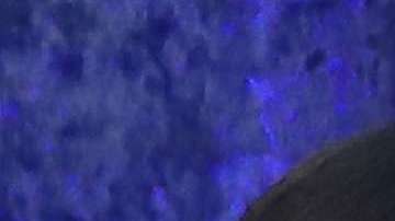 Los Obama podrían aparecer incluso en algunos programas especiales.