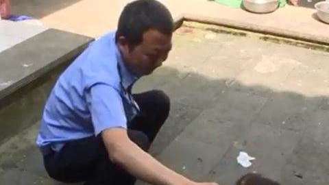 El perro era en realidad un oso que dos años después, creció de forma descomunal.