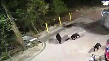 Al llegar fueron captados por las cámaras de seguridad