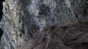 Películas que estrenan este verano 2018