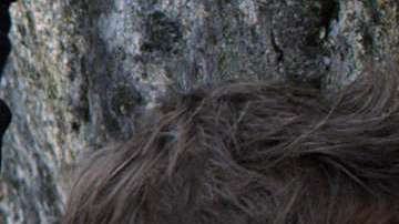 Películas que estrenan este verano 2018