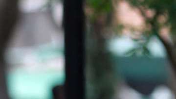 Los ganadores de "Pequeños Gigantes" 2018