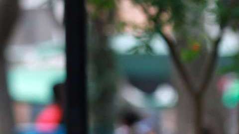 Los ganadores de "Pequeños Gigantes" 2018