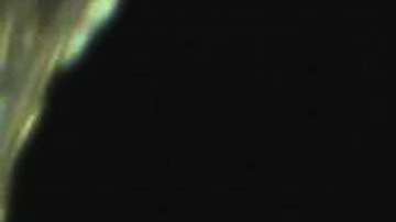 El pequeño punto azul es la imagen de la Tierra captada por MarCO-B el 9 de mayo.