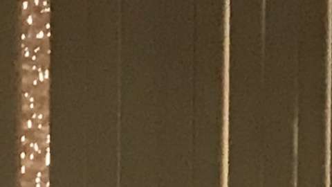 Presentación de la plataforma Atrapabot.