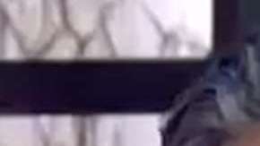 Raúl Araiza y Andrea Legarreta