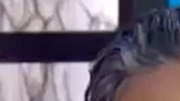 Raúl Araiza y Andrea Legarreta