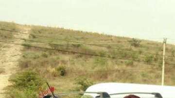 Nestora Salgado, candidata a diputada por Morena.