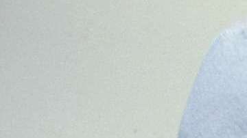 Aquí encontrarás una guía para saber cuándo necesitas ir con un especialista.