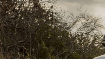 ¿Es esta pickup preferible a una SUV?