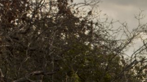 ¿Es esta pickup preferible a una SUV?