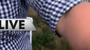 Una estudiante de Texas presenta un proyecto para su escuela que empareja animales de refugios con personas que pueden adoptarlos.