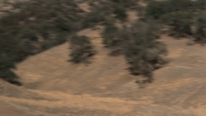 El Lexus GS destaca entre los autos de lujo.