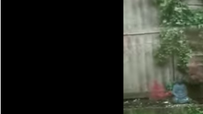 Este gatito les lleva flores a los vecinos todos los días.