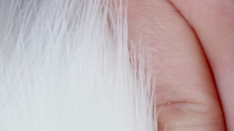 Una manicura de uñas diferente.