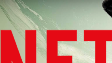 Alimentación Netflix