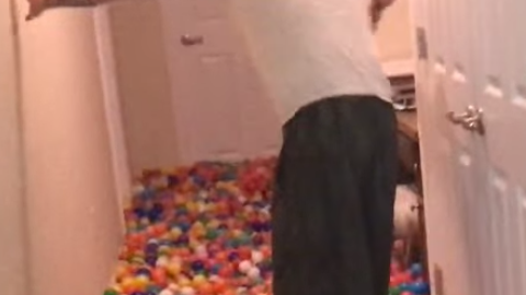 Este hombre adquirió más de 5,400 pelotas.