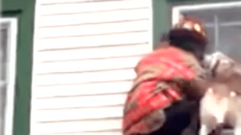 Un perro, rescatado del edificio por un bombero, demuestra su agradecimiento sin restricciones.