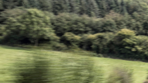 Mercedes da la espalda a EEUU.