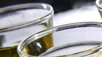 Tequila, la bebida mexicana que no puede faltar en las celebraciones.