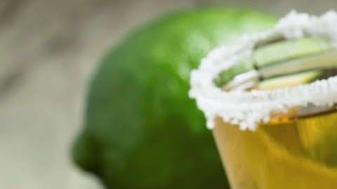 Gracias al tequila, se estima que existen en la actualidad 200,000 murciélagos magueyeros.