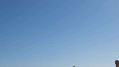 Esta app ofrece alojamiento en distintos países.