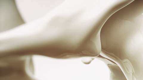 El 20% de los ancianos que se fracturan una cadera, mueren dentro de un año por complicaciones.