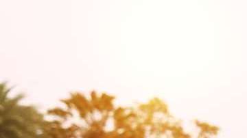 Tener un buen botiquín y guías de primeros auxilios te será de gran ayuda.