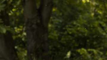 Alguien quiso crear pánico entre la población.