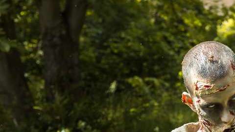 Alguien quiso crear pánico entre la población.