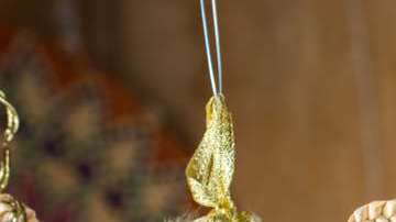 Los ojos turcos son ideales para los sagitarios.